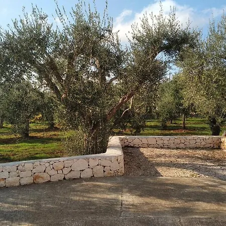 Torrette Di